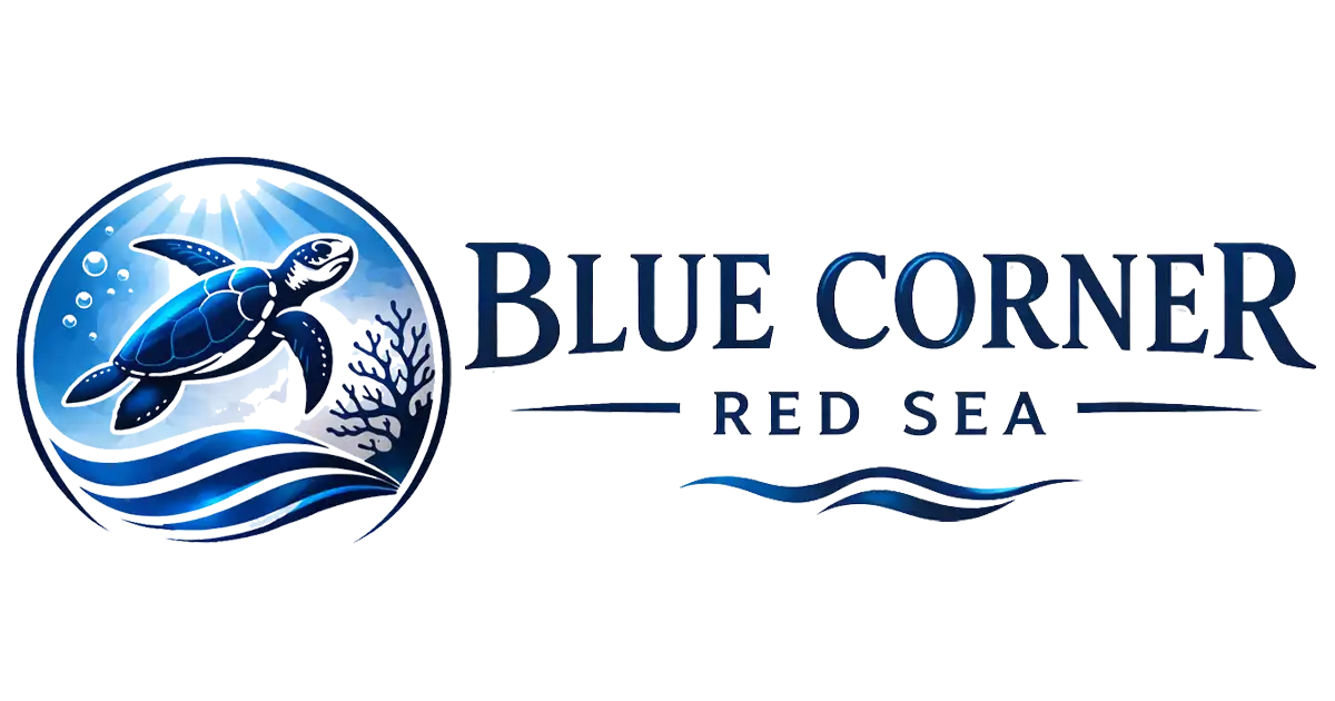 Blue Corner Logo