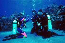 PADI Open Water Course Hurghada