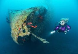  El Mina Wreck