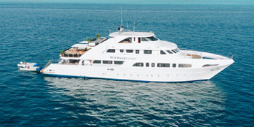 Sea Scorpion Red Sea Liveaboard