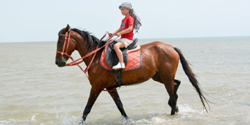 Desert and Beach Horse Riding in Hurghada