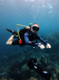Gota el Deir Dive Site | The Pristine Coral Garden of the Red Sea